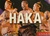 HAKA-UNIQUE NEW ZEALAND