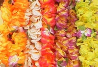LARGE BRIGHT ORCHID LEI/12 ASSORTED COLORS