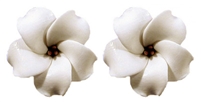 WHITE PUAKENIKENI EARRINGS / Pair - SALE