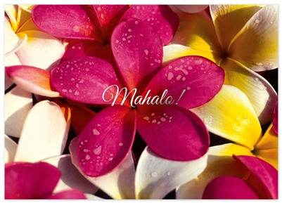 DELUXE HAWAIIAN PLUMERIA MAHALO CARD