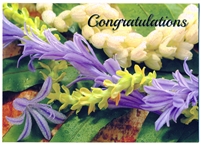 CONGRATULATIONS CARD OF BEAUTIFUL LEIS
