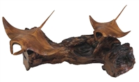 TWO HAND CARVED WOOD MATA RAYS ON DRIFTWOOD BASE