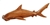 12" HAND CARVED WOOD HAMMERHEAD SHARK