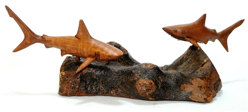 Tiger Shark on Driftwood Base 5" Hand Carved# ags29016 